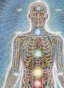 energy channel in the human body